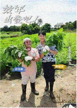 午夜电台 免费在线电影网声音综艺